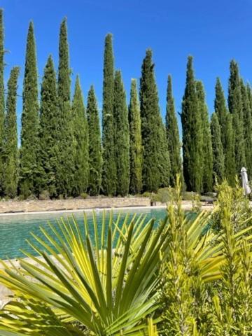 B&B Petite Maison Le Jardin Vaison-la-Romaine Exterior foto